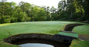 Image result for Mountain Ash Golf Club