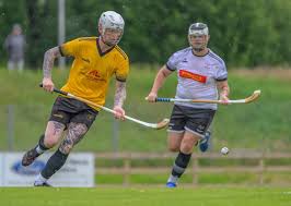 Image result for Skye Camanachd
