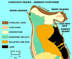 Image result for платформа Андрос