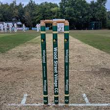 Image result for Wood Street Village Cricket Club