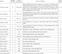 Attēlu rezultāti vaicājumam “Phleogena faginea young”