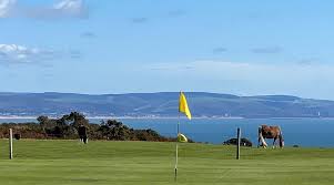 Image result for Clyne Golf Club Limited
