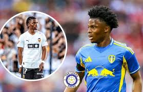 Image result for Leeds Dodge