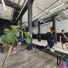 Image result for Unity School Of Jiu Jitsu