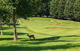 Image result for Knowle Golf Club Limited
