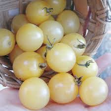 Afbeeldingsresultaat voor hawaiian white cherry tomato