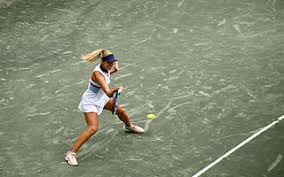 Image result for Ivybridge Tennis Club