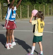 Image result for Waverley Netball Club