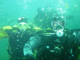 Image result for Meadurst Sub-Aqua Club