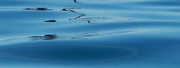 Image result for South Skye & Lochalsh Kayak Club