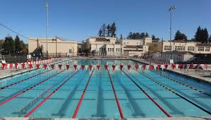 Image result for Haslemere Swimming Club