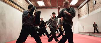 Image result for Shaolin Nam Pai Chuan Kung Fu - Manchester Martial Arts Centre