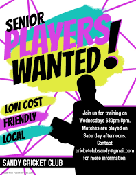 Image result for Sandy Cricket Club