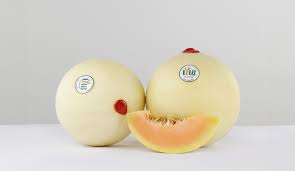 Image result for Melone