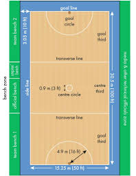 Image result for Sports Centre Netball