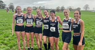 Image result for Deeside Aac