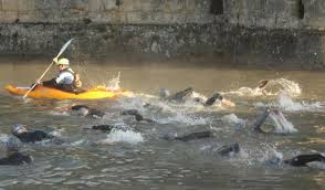 Image result for 1066 Swimmers