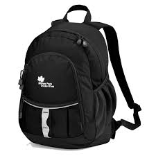 Image result for Sibton Park Cricket Club