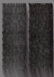 Attēlu rezultāti vaicājumam “Didymium minus stalked”