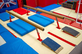 Image result for Wiltshire School Of Gym