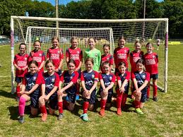 Image result for Hassocks Ladies FC