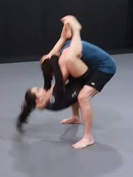 Image result for TRIANGLE CHANGQUAN FLYING DRAGON