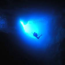 Image result for Blue Water Diving