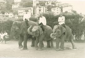 Image result for East Gloucestershire Club