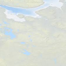 Attēlu rezultāti vaicājumam “Ommatoiulus vilnensis”