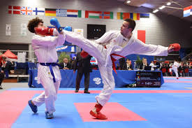 Image result for Shitokai Karate Club