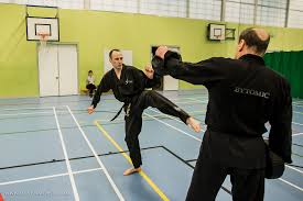 Image result for Bytomic Tae Kwon Do London North