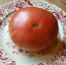 Afbeeldingsresultaat voor caspian pink tomato