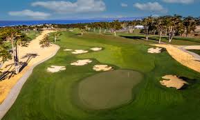 Image result for Black Horse Ballooning Club