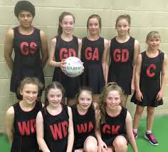Image result for Edinburgh Holyrood Netball Club