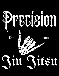 Image result for Precision Martial Arts