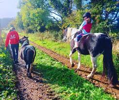 Image result for Greenways Riding Stable Lower Eashing