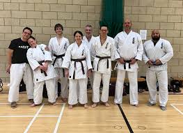 Image result for Seiki Juku Karate Club