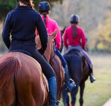 Image result for Dalkeith Park Equestrian Club