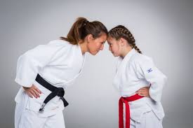 Image result for Haslemere Karate Club
