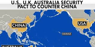 「VHAPUNI　MAO」の画像検索結果