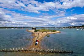 Image result for Essex Stragglers