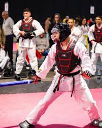 Image result for ATA Martial Arts Mobile