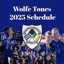 Image result for Wolfe Tones Gaelic Athletic Club