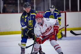 Image result for Streatham Youth Ice Hockey Club