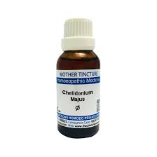 Image result for Chelidonium majus