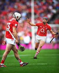 Image result for Patrick Sarsfield Gaelic Athletic Club