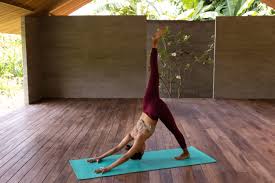 Image result for Hatha Yoga Club