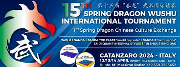 Image result for Dragon Wushu Club