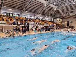 Image result for Falmouth Octopush Club