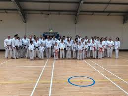 Image result for York University Karate Club